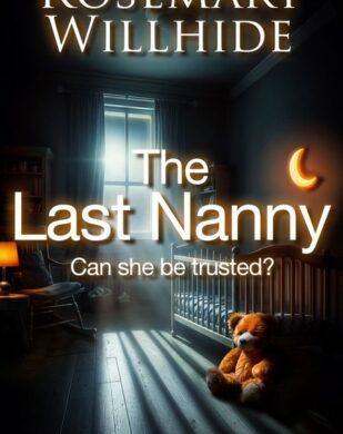 NEW RELEASE: The Last Nanny by Rosemary Willhide